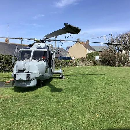 Haelarcher And Helicopter Lizard